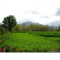 روستای ورچه خمین استان مرکزی