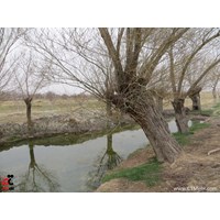 روستای واشقان فراهان استان مرکزی