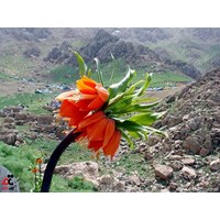 روستای اورامانت استان کردستان