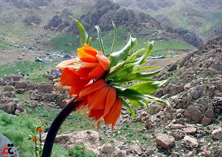 روستای اورامانت استان کردستان روستای اورامانت استان کردستان