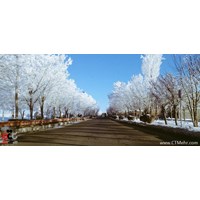شهرستان دهگلان استان کردستان