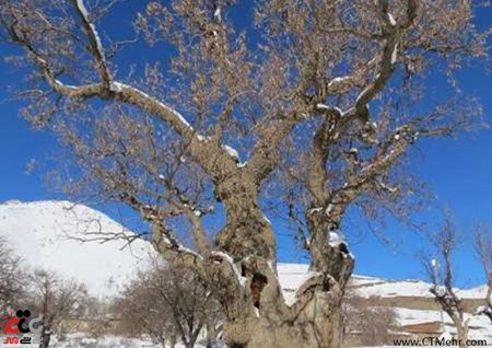 روستای هفتاش استان کردستان