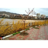 شهر سقز استان کردستان