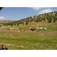 روستای مامال استان کردستان
