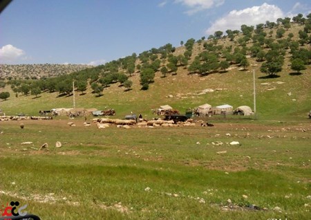 روستای مامال استان کردستان