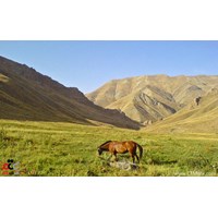 کوه چهل چشمه استان کردستان