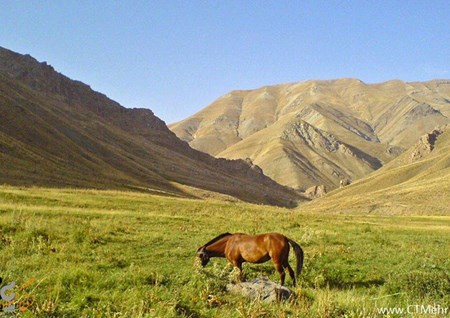 کوه چهل چشمه استان کردستان کوه چهل چشمه استان کردستان