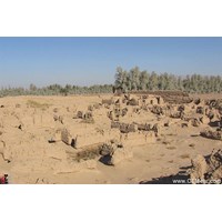 ارگ طبس استان خراسان جنوبی