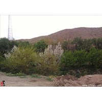 روستای بیدسکان شهر فردوس استان خراسان جنوبی