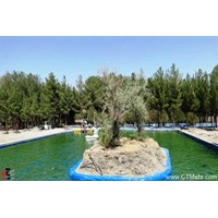پارک جنگلی بیرجند استان خراسان جنوبی