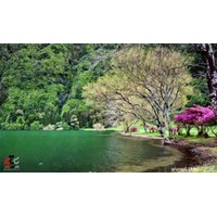 دریاچه شورمست استان مازندران