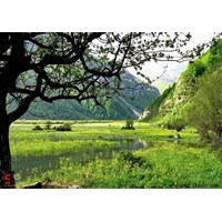 پارک جنگلی چالدره استان مازندران