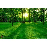 پارک جنگلی نور استان مازندران