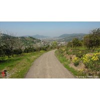 پارک جنگلی بابلکنار استان مازندران