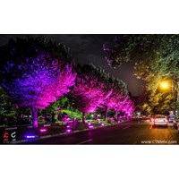 بلوار کشاورز استان تهران