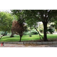 پارک بهمن استان تهران