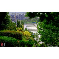 پارک جوانمردان ایران استان تهران