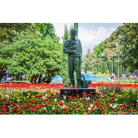 پارک شهر استان تهران