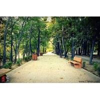 بوستان قیطریه استان تهران