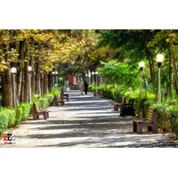پارک ساعی استان تهران