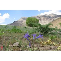 آبشار لت مال استان تهران