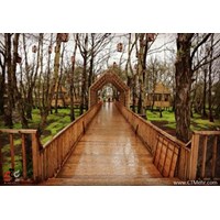 پارک جنگلی توسکا  استان تهران