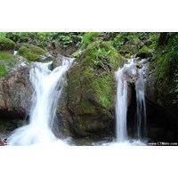 جنگل و چشمه نیلبرگ گلستان