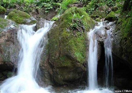 جنگل و چشمه نیلبرگ گلستان