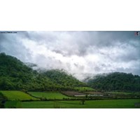 جنگل توسکستان استان گلستان