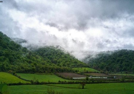جنگل توسکستان استان گلستان