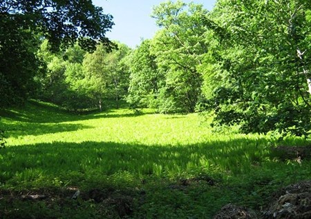 روستای قرن آباد گلستان