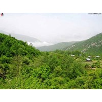 منطقه شکار ممنوع چلچلی گلستان
