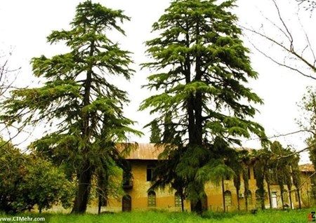 باغ روس ها گلستان
