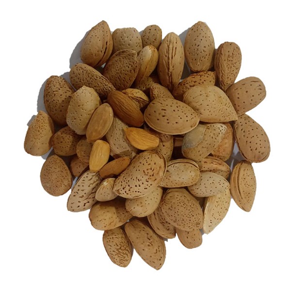 بادام سنگی درجه یک خشکبار نقوی فله