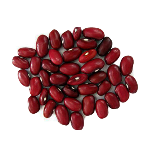 ارزانترین لوبیا قرمز بومی خشکبار نقوی فله