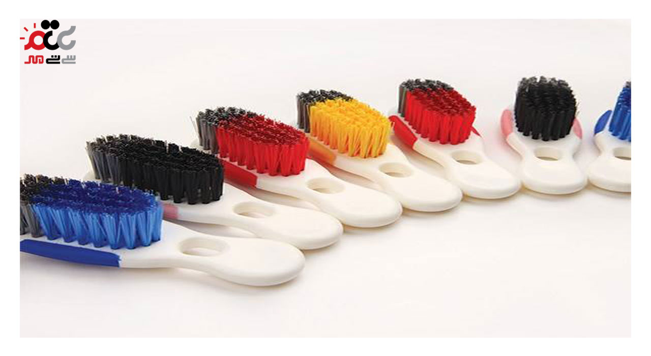 مینی برس مهسان مدل دلفین