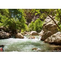 چشمه ناز سمیرم استان اصفهان