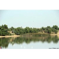 تالاب آق گیلان