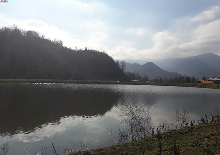 تنیان گیلان تنیان گیلان