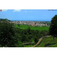 پارک جنگلی سیاه داران گیلان