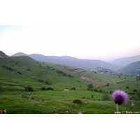 پارک جنگلی بی‌بی یانلو گیلان
