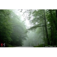 جنگل دوهزار تنکابن استان مازندران