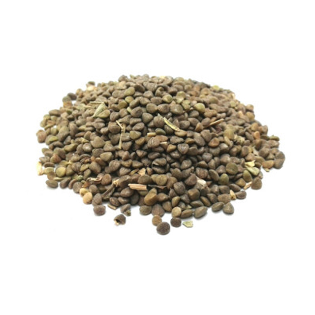 تخم مرو 65 گرمی