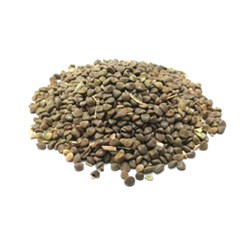 تخم مرو 65 گرمی