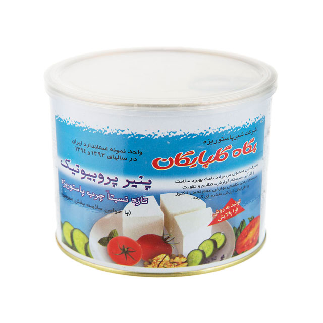 پنیر پروبیوتیک حلب پگاه 400 گرمی 