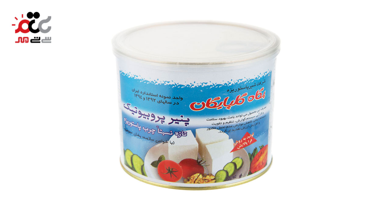 پنیر پروبیوتیک حلب پگاه 400 گرمی 