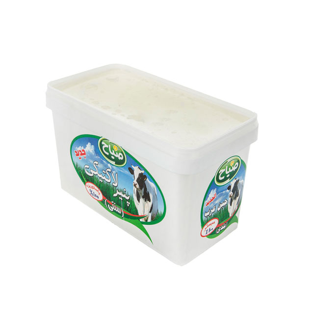 پنیر لاکتیکی سنتی صباح 800 گرمی 