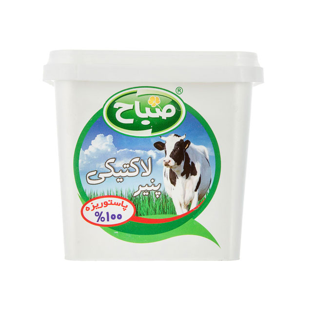 پنیر پاستوریزه لاکتیکی صباح 400 گرمی 