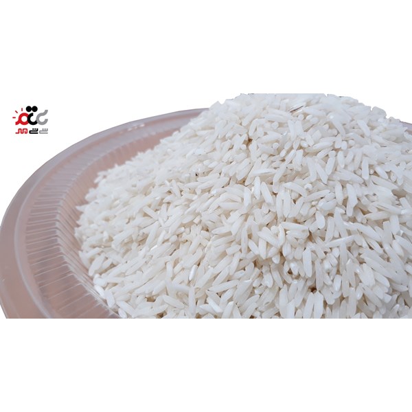 برنج شیرودی گرگان درجه یک 10 کیلوگرمی
