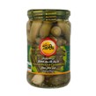 خیارشور ممتاز بهروز 660 گرمی